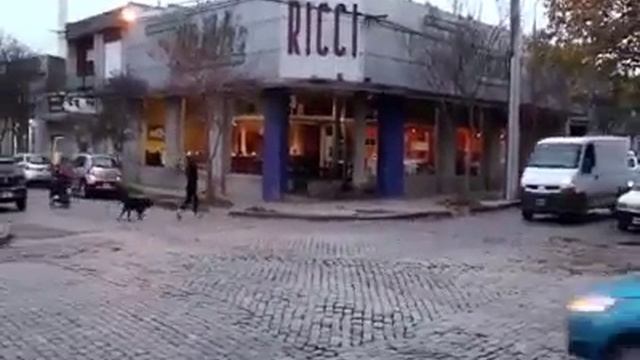 Е, полицията пристигна и наруши идилията!
