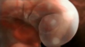 Вот как мама рожает