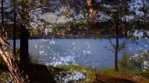 Иван Бунин стихотворение "Детство"