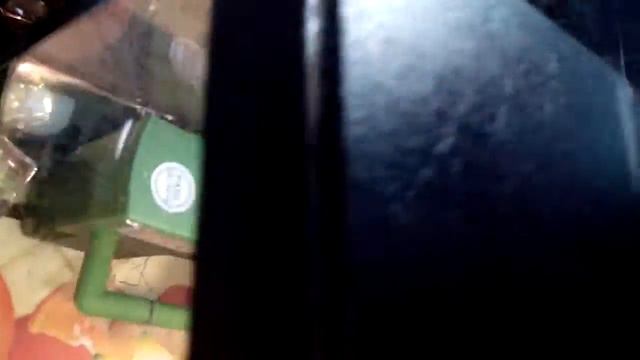 Мои лягушки! 2 не видно :( смотреть онлайн