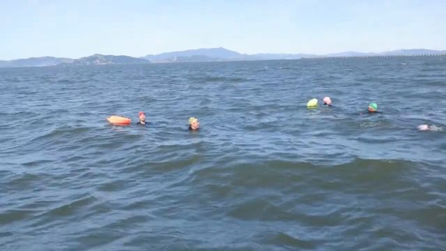April 10, 2022 Odyssey Berkeley Swim - Odyssey Open Water Swimming Highlights смотреть онлайн