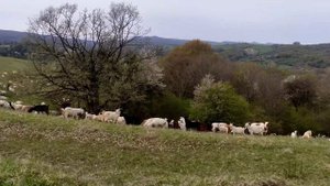 Каньон реки Лакруш. Станица Новосвободная, разрушенная Царская часовня. 23.04.22
