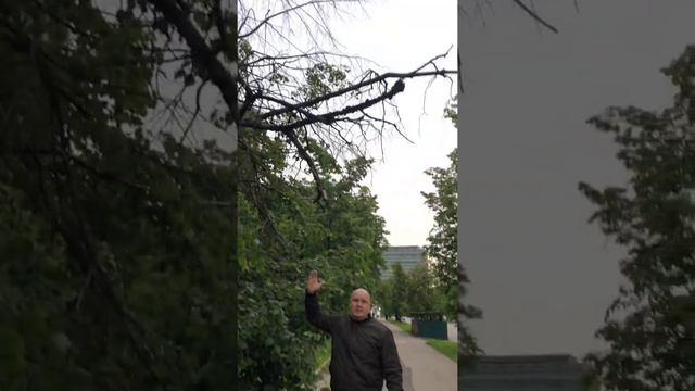 Визит в район Соколиная Гора