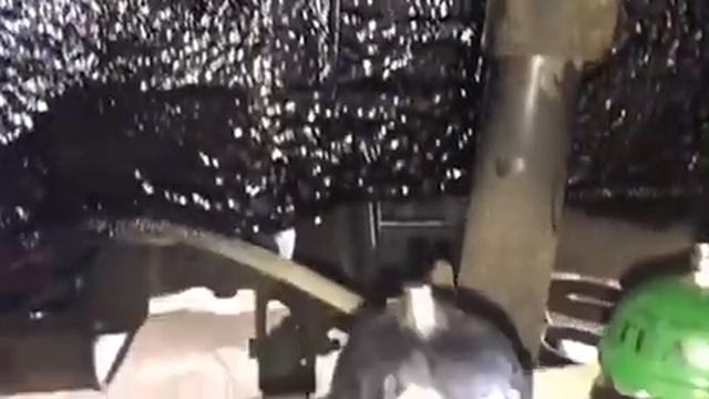 Ford Focus 3 жидкие подкрылки. Два в одном - защита от шума колёс, антикоррозионная обработка арок