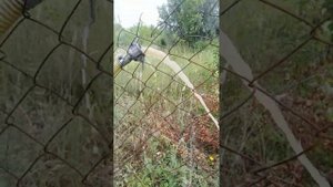 Скважина на новом месте. СНТ "Берёзово"