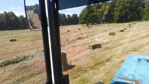 Заготовка сена, тюкуем польским пресс подборщике на мтз