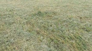 закрываем землю спандондом готовим под клубнику
