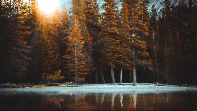 Милостыня. Иеросхим. Василий / Саровский цветник. Наставления старцев Саровской пустыни смотреть онлайн