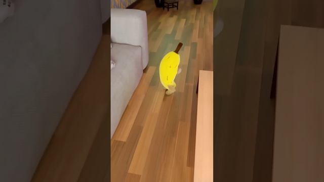 Banana Cat and Pomni | Banana Cat saves Pomni ??