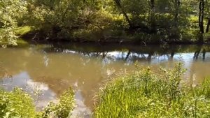 Устье реки Тирекрея - слияние с рекой Высса, показываю это место