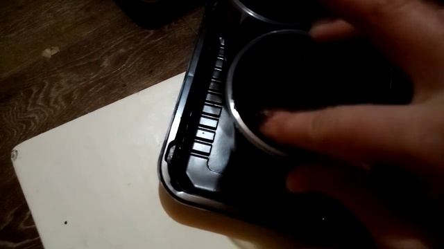 Выращивание посадка лимона из косточки дома. Как посадить косточку лимона правильно.