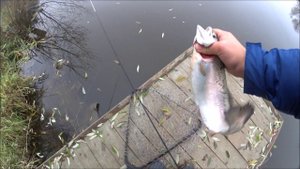 Дружеские соревнования по ловли форели,занял 3 место)))