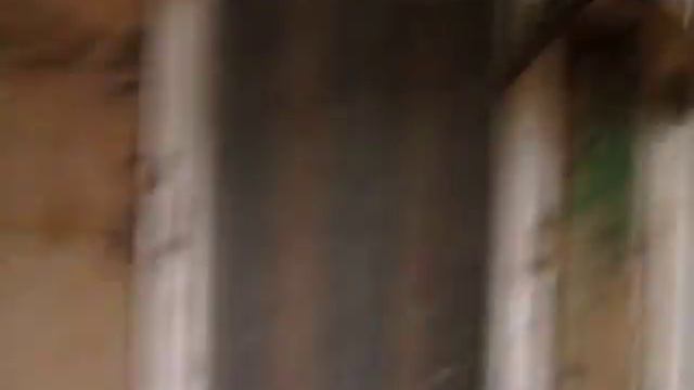 киш миш смотреть онлайн