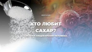 Кто любит сладкое?