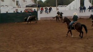 Juan Cerda de Zaragoza vs Parrandero de Toño Oviedo