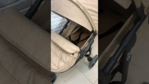 Коляска Babyton trio