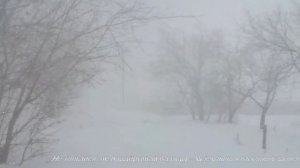 Вдоль по Вологде - метель,метель,метель...*HD