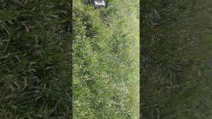 Чистка бочки от мазуты