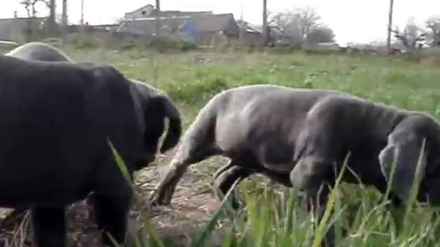 Фильм_0001 смотреть онлайн