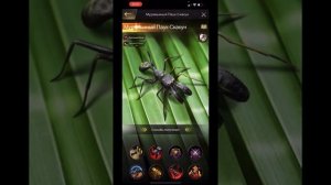 The Ants. Муравьиный Паук-Скакун. сборка на охрану