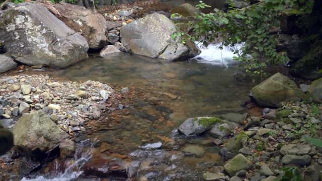 Traditional Flavor Journey: Turkish Tea | How to Brew Turkish Tea? (Subtitled) смотреть онлайн