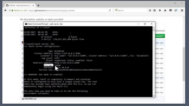 Starting up Hashicorp Vault Server in Development Mode - Part 3 смотреть онлайн