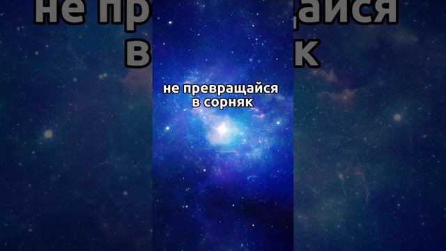 ТРУД ДУШИ #духовное_развитие #развитие_сознания