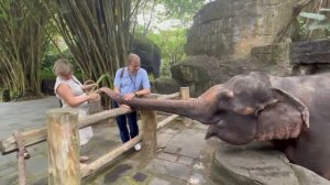 ТАК МИЛО! Олег Зубков переводит через дорогу  маленького  ЗЕЛЁНОГО ЧЕРВЯЧКА)))