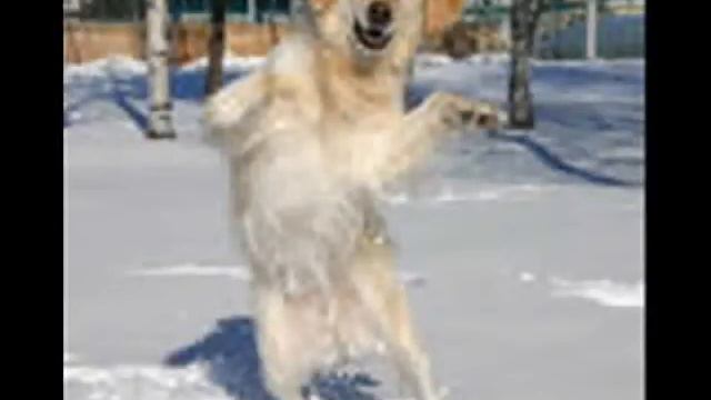 ржач смотреть онлайн