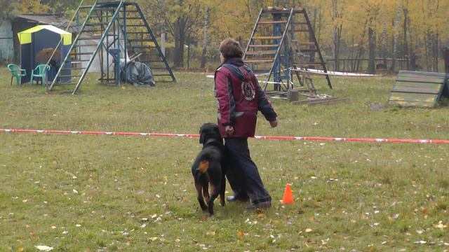 Кубок Москвы 2014 г. по ОКД и ЗКС. смотреть онлайн