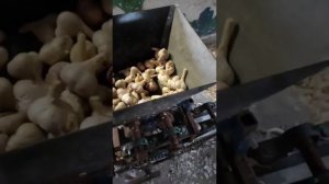 Дробилка головок чеснока своими руками
