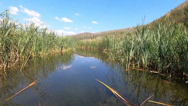 Одиночное велопутешествие по Башкирии. ч.11. Где зарождается Ямашла.