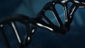 РАСКРЫТО БЛАГОДАРЯ ГЕНЕТИЧЕСКОЙ ГЕНЕАЛОГИИ: УБИЙСТВО МЭРИ СИЛВАНИ ИЛИ ИСТОРИЯ ШИПС ФЛЭТ ДЖЕЙН ДО