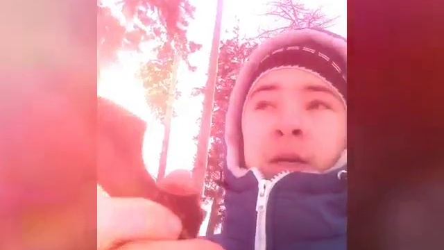 Сюрикен бетмена смотреть онлайн