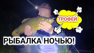Ловля линя ночью на фидер! Огромный линь в жаркие дни ночью! Ловля угря