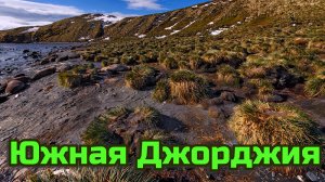 Южная Джорджия Красивая География
