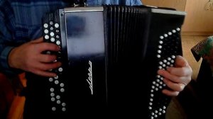 Баян московский