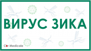 Вирус Зика