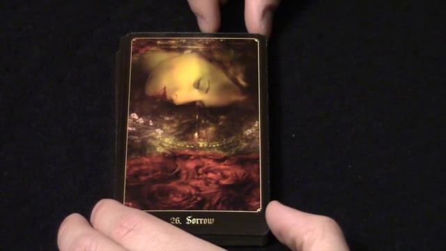 The Chronicles of Destiny Fortune Cards (Schiffer Publishing) смотреть онлайн