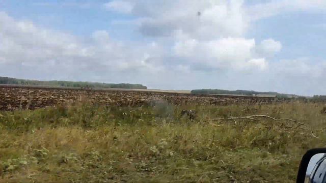 Нашествие Коров, Нашли кольцо и не понятную монету, Коп в Полях смотреть онлайн