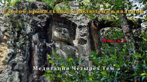 Способ правильного наблюдения явлений. Часть I. Медитация 4-х Тем