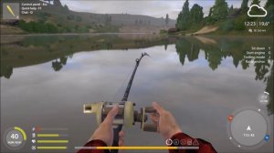 Russian Fishing 4. Tiempo de Gatos en Sura. Catfish in Sura.