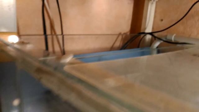 Как сделать #внешний #фильтр для #аквариума #своими #руками смотреть онлайн