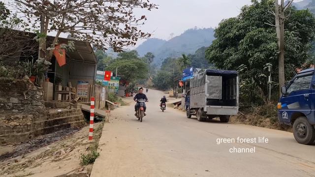 ( Full video compilation ) Robert sells pigs. Robert | Green forest life смотреть онлайн