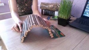 Покупки для морской свинки Маруси