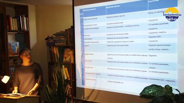 Комнатные растения. Польза или вред. Защита индивидуальных проектов