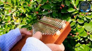 Despacito by Luis Fonsi ft. Daddy Yankee /Kalimba cover / Despacito kalimba tabs