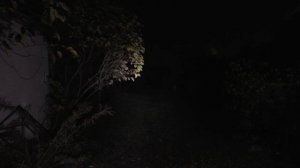 Фонарь Convoy ( Конвой) S21B B35AM 4500K VC S21B XHP50.2 VC S21B SST40.