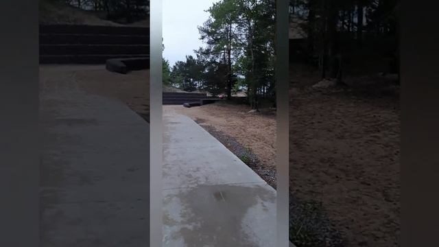 Сосновы Бор, Ленинградская область. 2023 год. смотреть онлайн