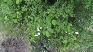 tx 850 с катушкой 17 дюймов